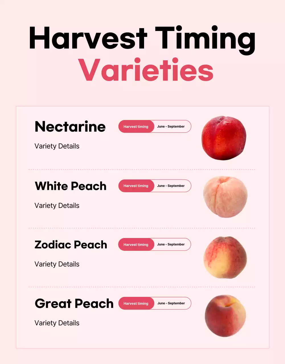 Quảng cáo trái cây theo mùa màu hồng cơ bản