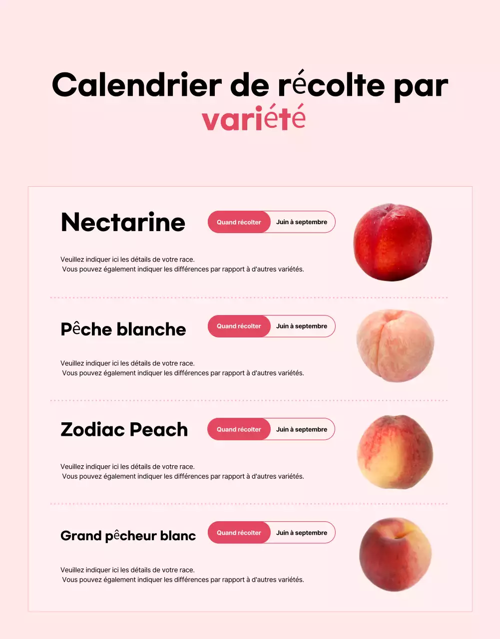 Publicité de base sur les fruits de saison en rose