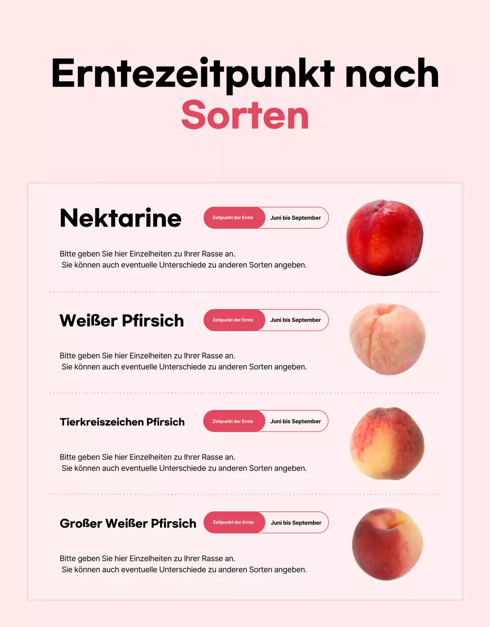 Basisanzeige für saisonales Obst in Rosa