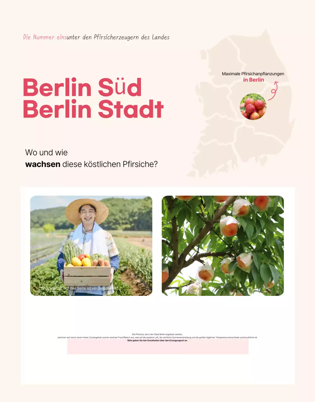 Basisanzeige für saisonales Obst in Rosa