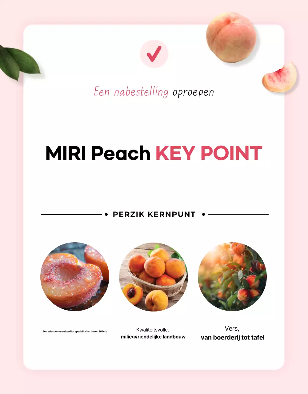 Basis seizoensfruit advertentie in roze