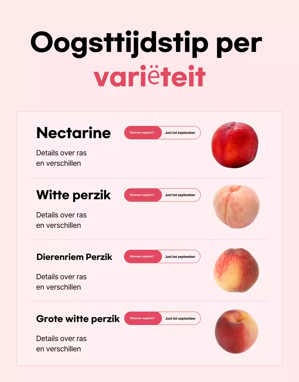 Basis seizoensfruit advertentie in roze