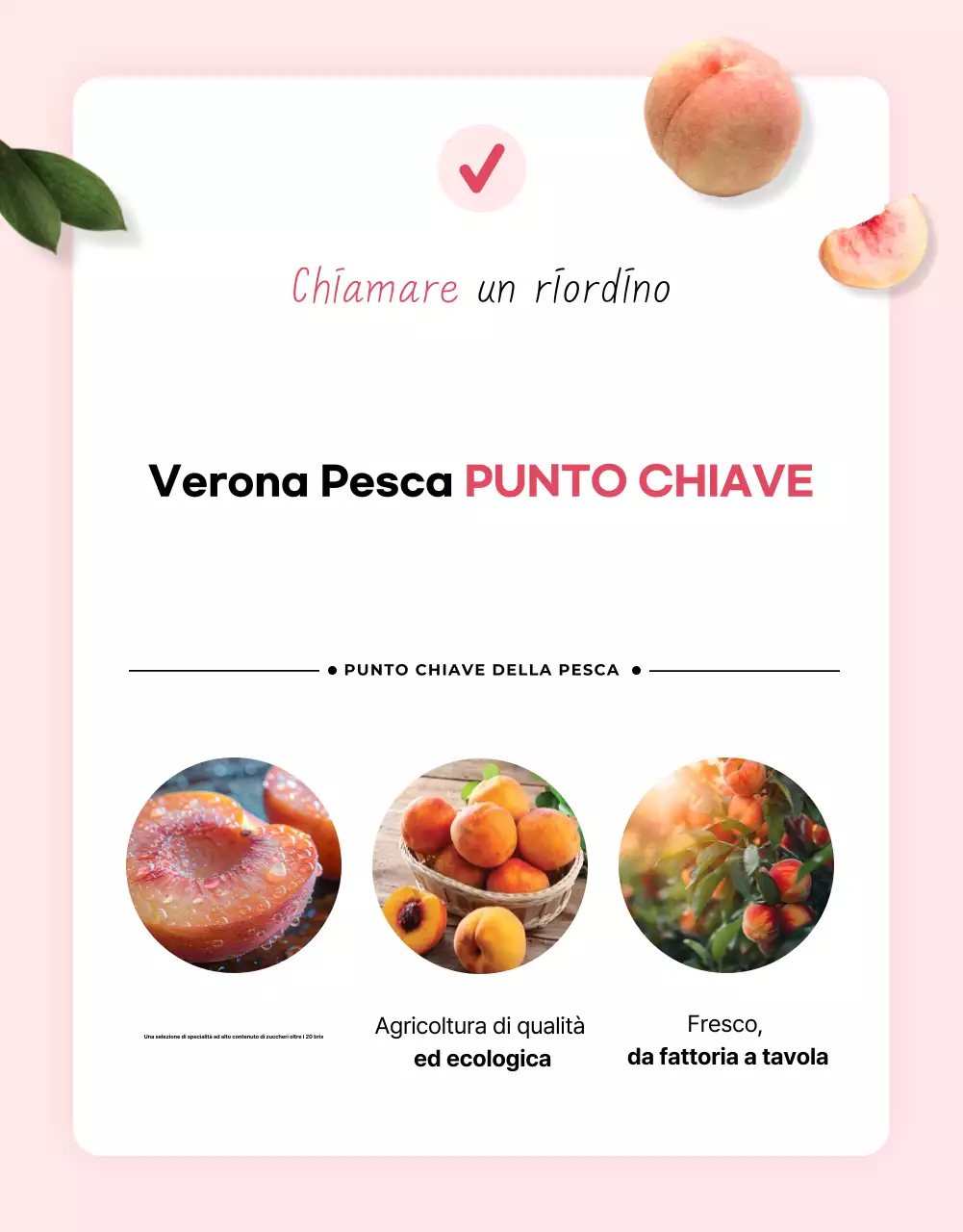 Annuncio base di frutta di stagione in rosa