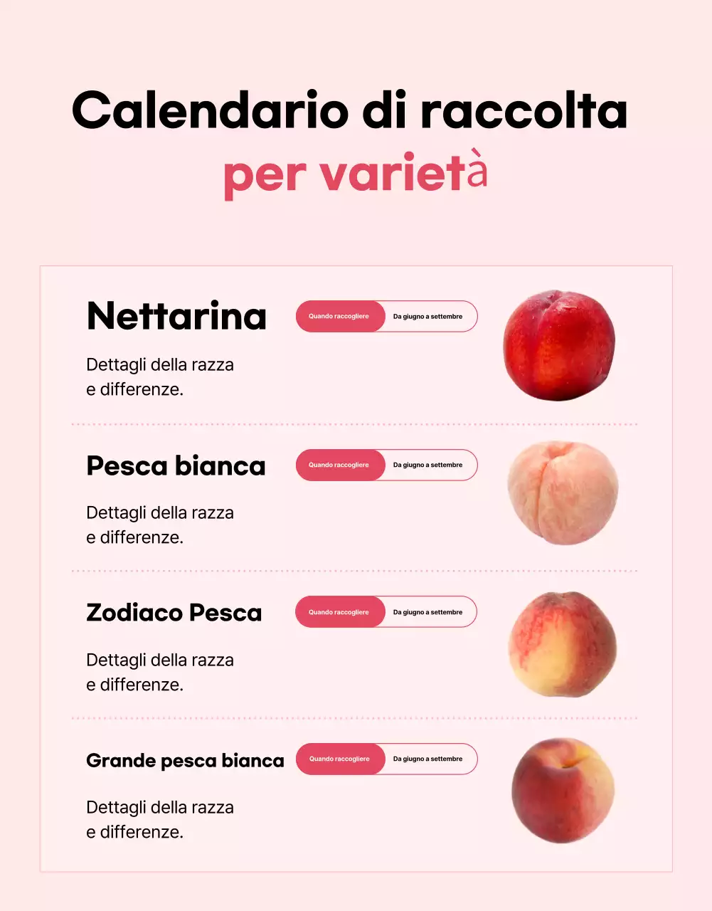 Annuncio base di frutta di stagione in rosa