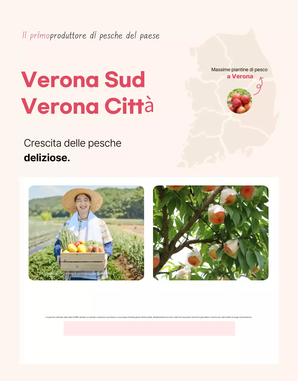 Annuncio base di frutta di stagione in rosa