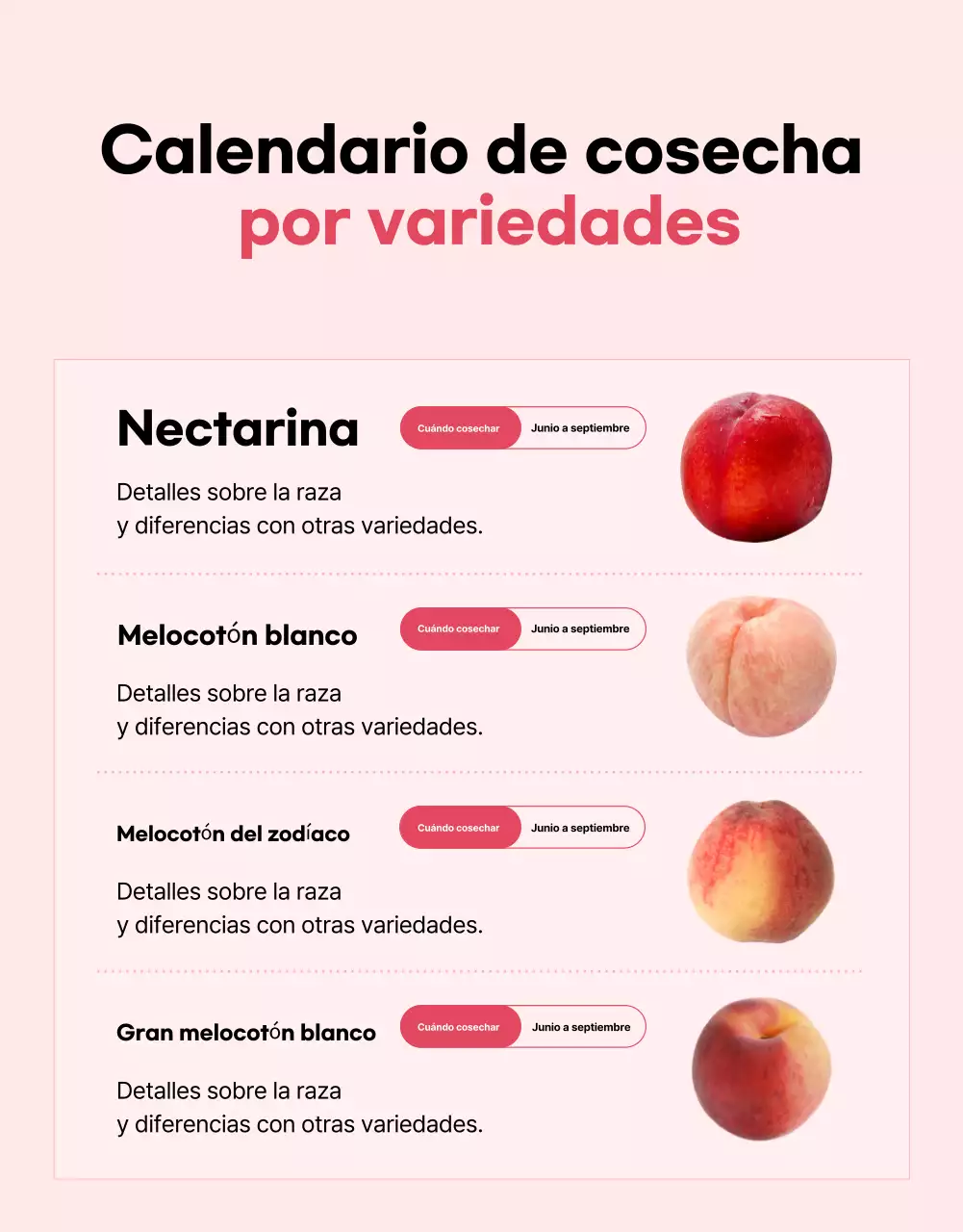Anuncio básico de fruta de temporada en rosa