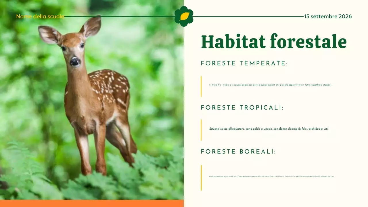 Materiale didattico sull'habitat animale moderno giallo e verde