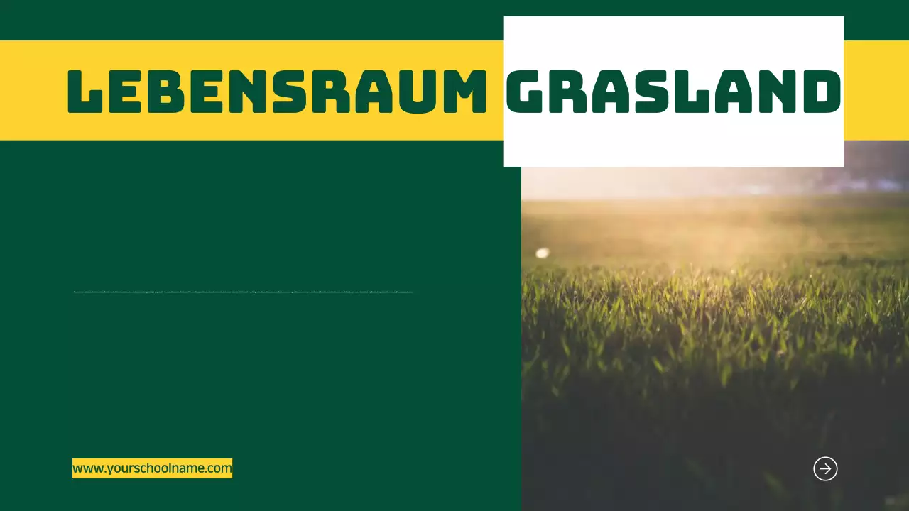 Blau Orange Modern Fett Geometrisch Einführung in die Lebensräume von Tieren Infografik