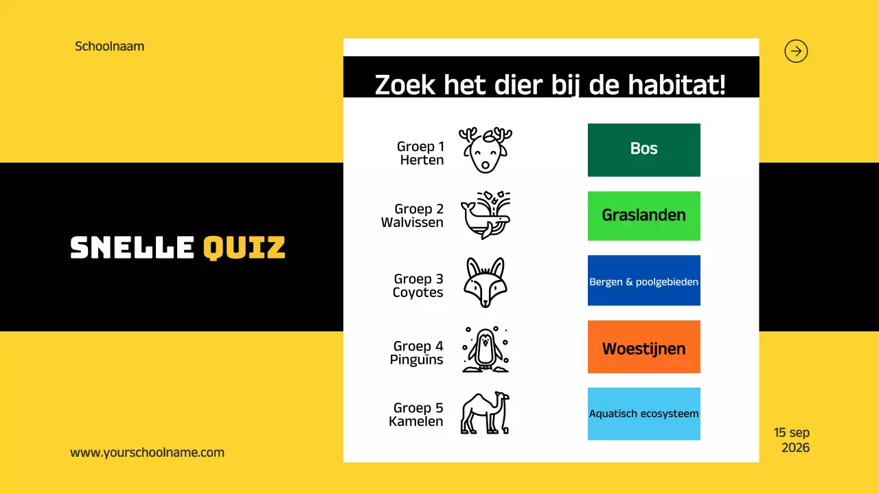 Blauw Oranje Modern Vet Geometrische Inleiding tot Dierlijke Habitats Infographic