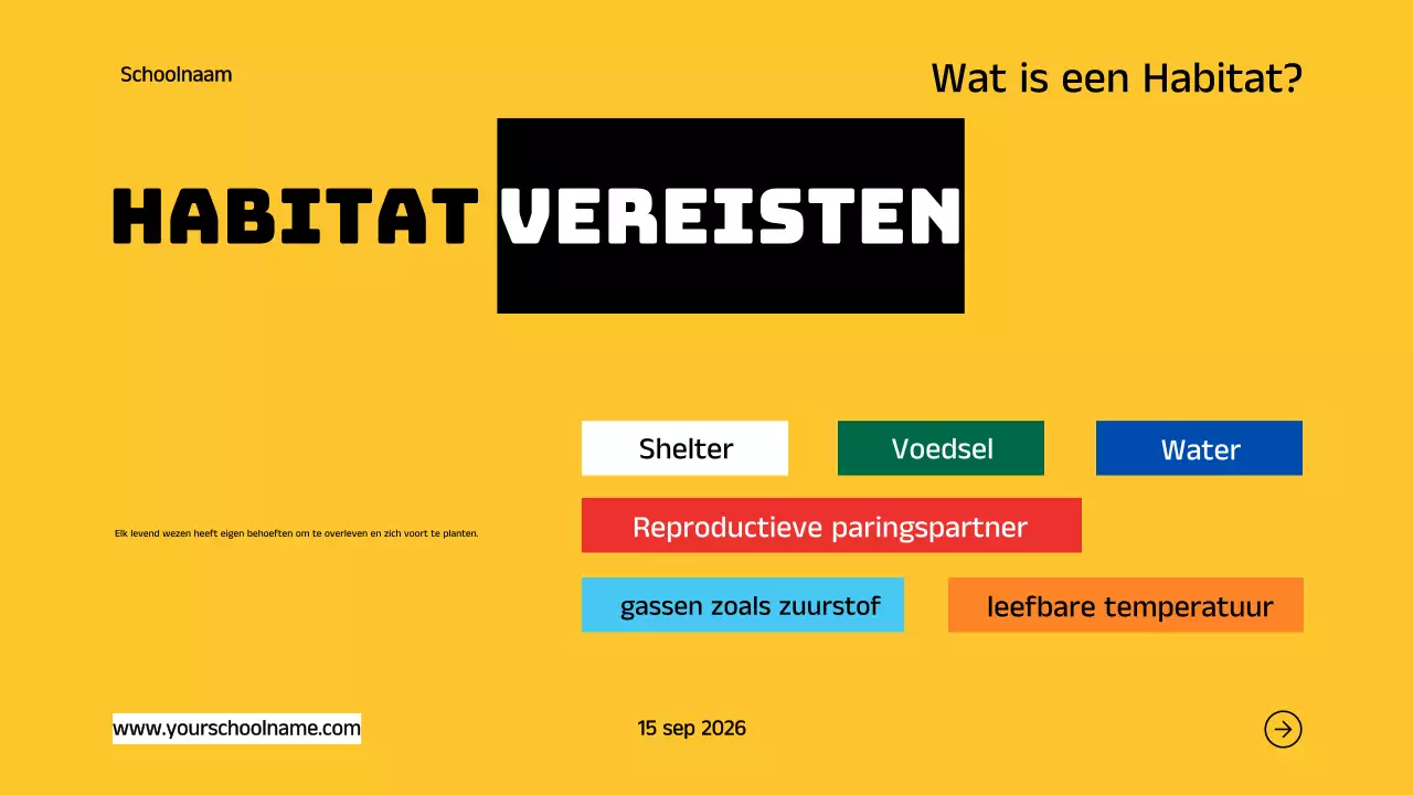 Blauw Oranje Modern Vet Geometrische Inleiding tot Dierlijke Habitats Infographic