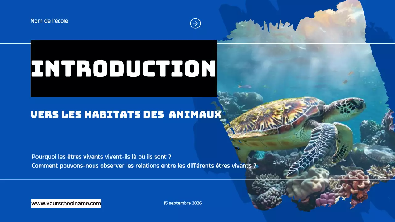 Bleu Orange Moderne Géométrique Gras Introduction aux Habitats des Animaux Infographique