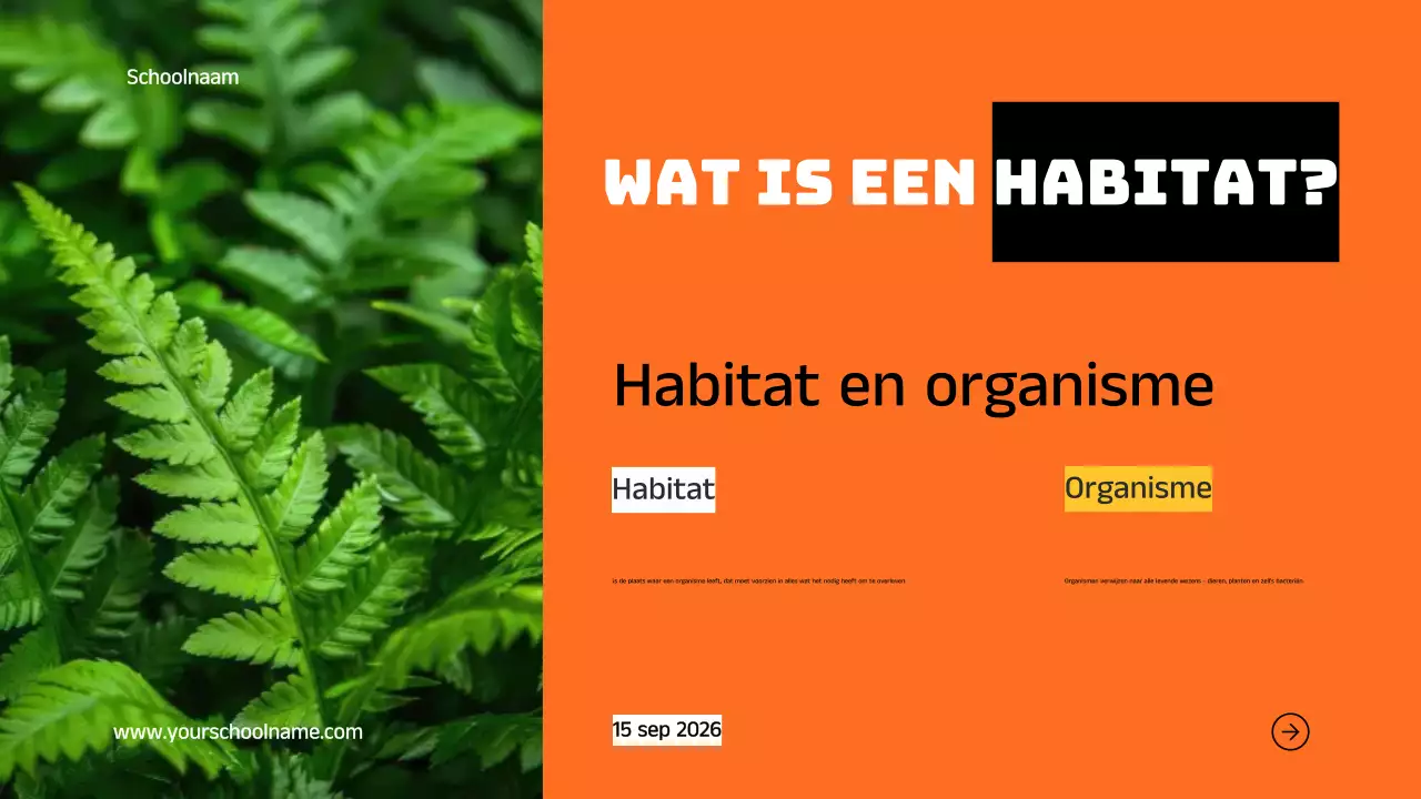 Blauw Oranje Modern Vet Geometrische Inleiding tot Dierlijke Habitats Infographic