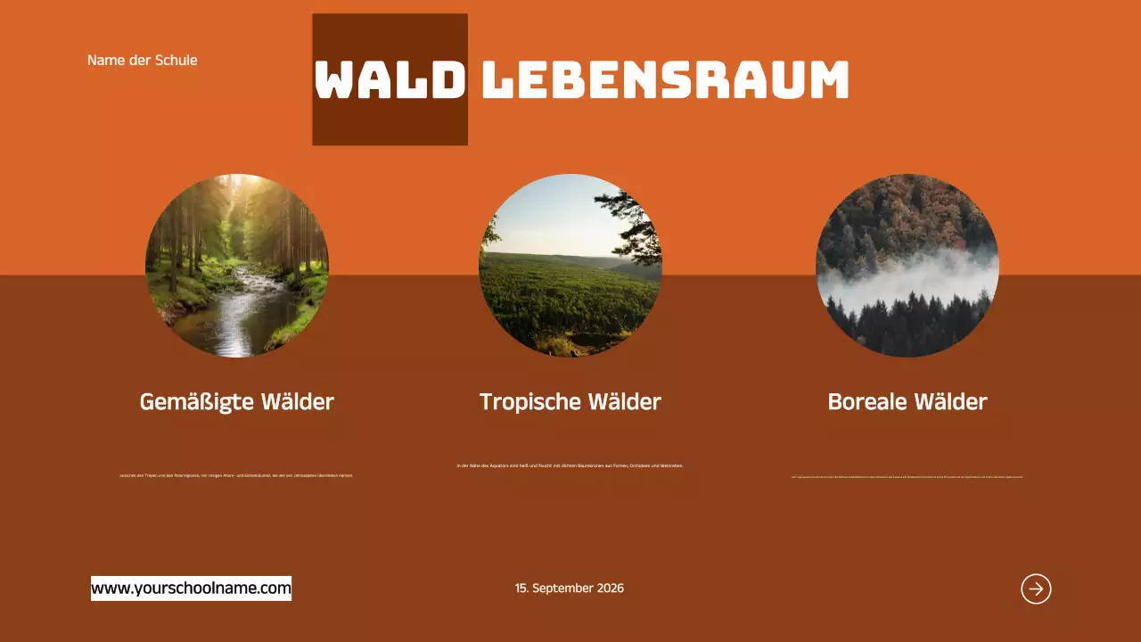 Blau Orange Modern Fett Geometrisch Einführung in die Lebensräume von Tieren Infografik