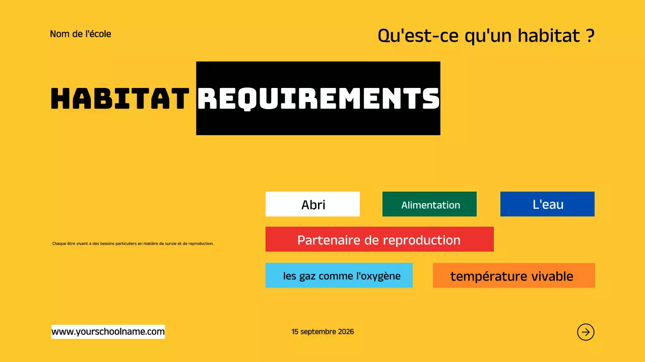 Bleu Orange Moderne Géométrique Gras Introduction aux Habitats des Animaux Infographique