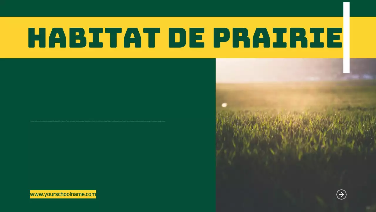 Bleu Orange Moderne Géométrique Gras Introduction aux Habitats des Animaux Infographique