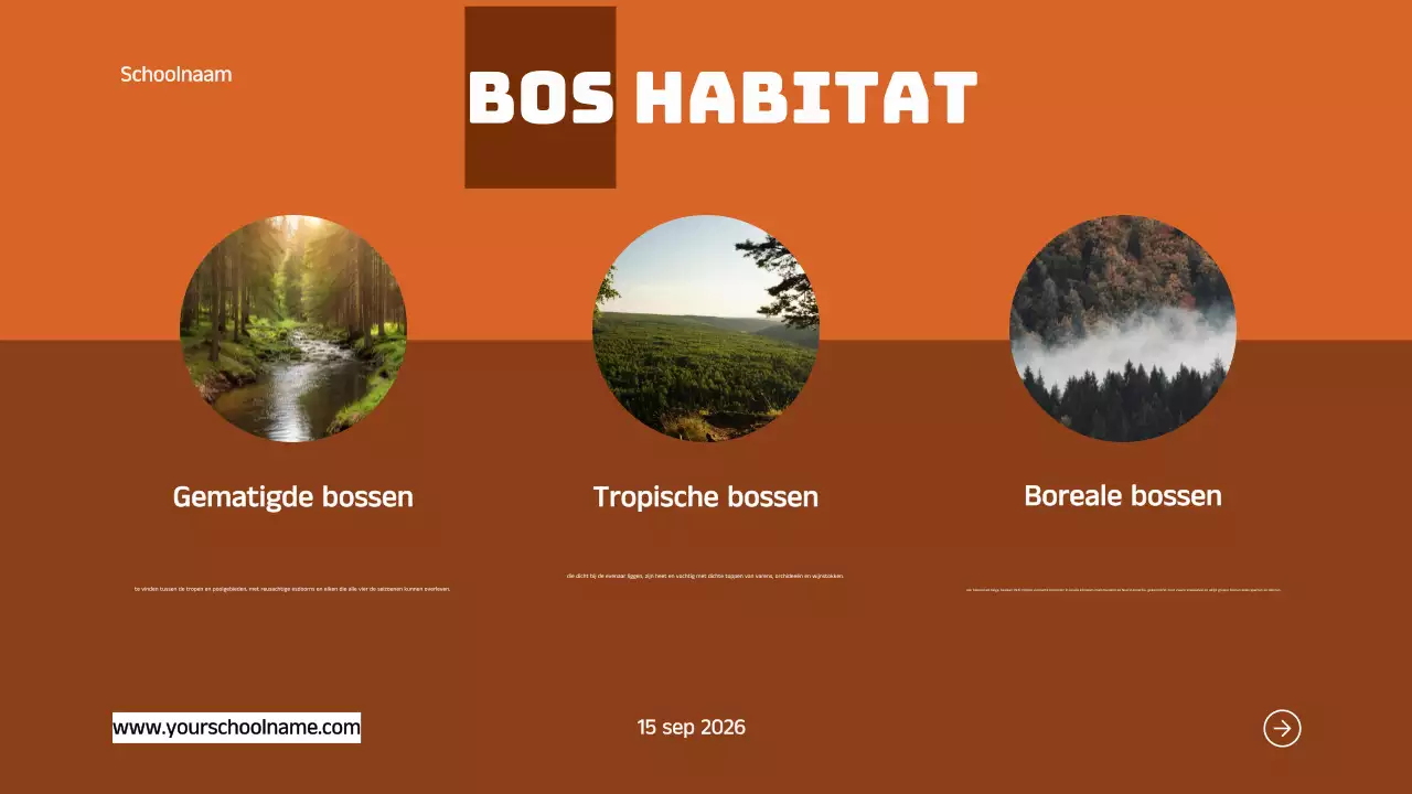 Blauw Oranje Modern Vet Geometrische Inleiding tot Dierlijke Habitats Infographic