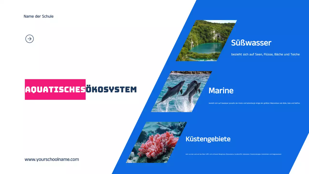 Blau Orange Modern Fett Geometrisch Einführung in die Lebensräume von Tieren Infografik