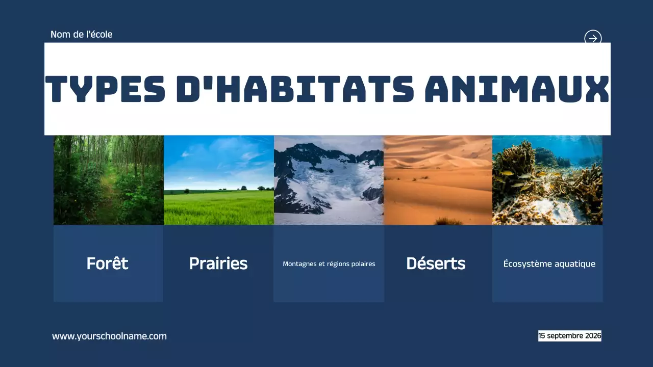 Bleu Orange Moderne Géométrique Gras Introduction aux Habitats des Animaux Infographique