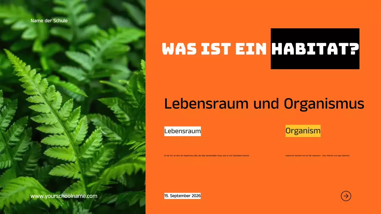 Blau Orange Modern Fett Geometrisch Einführung in die Lebensräume von Tieren Infografik