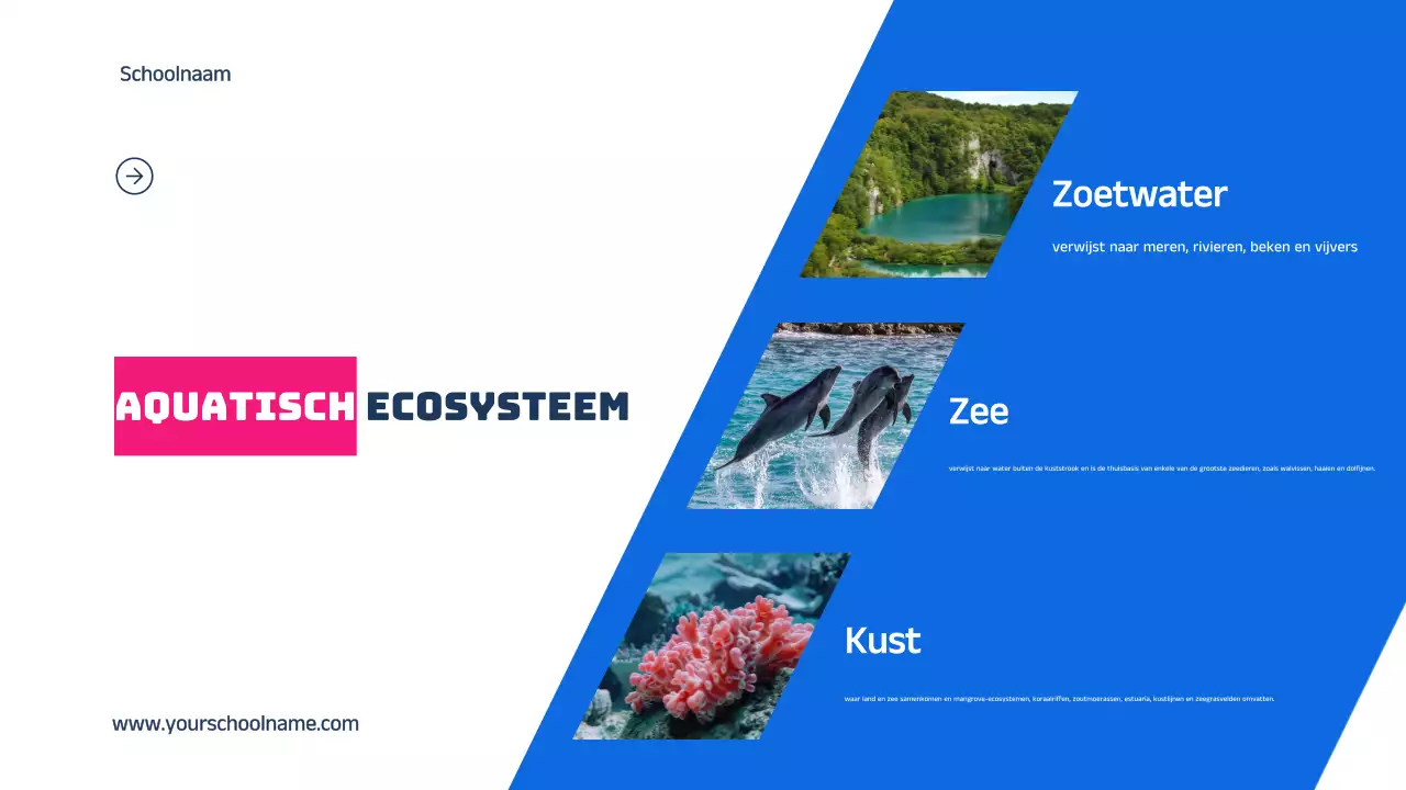 Blauw Oranje Modern Vet Geometrische Inleiding tot Dierlijke Habitats Infographic