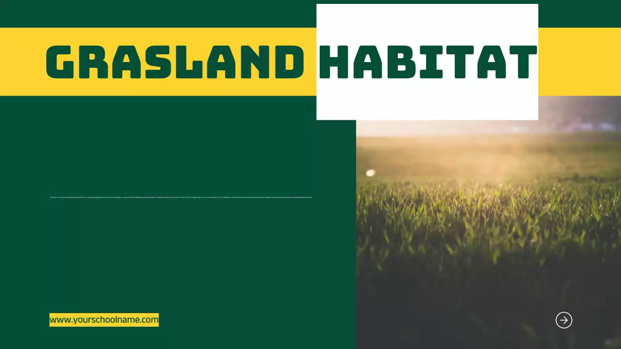 Blauw Oranje Modern Vet Geometrische Inleiding tot Dierlijke Habitats Infographic