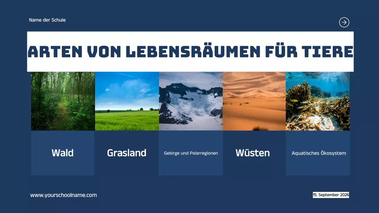 Blau Orange Modern Fett Geometrisch Einführung in die Lebensräume von Tieren Infografik