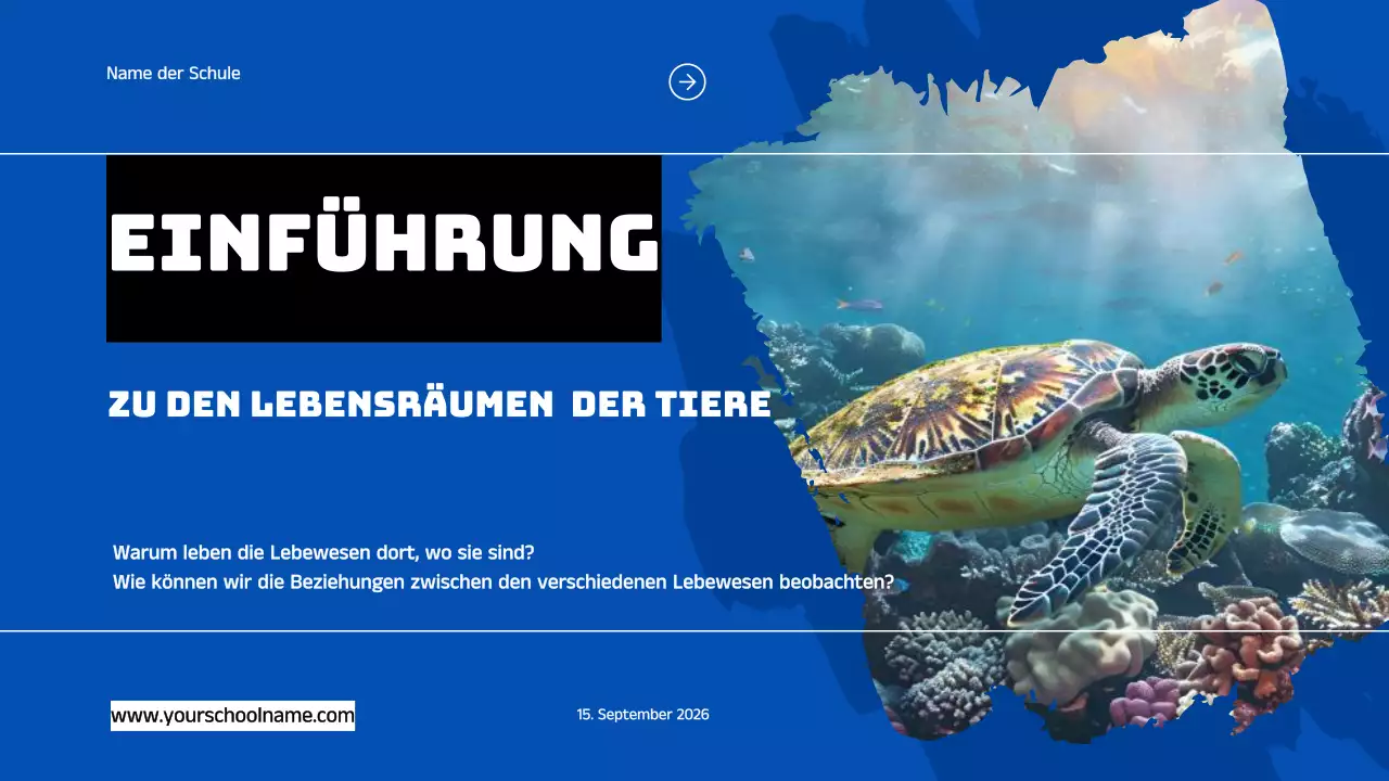 Blau Orange Modern Fett Geometrisch Einführung in die Lebensräume von Tieren Infografik