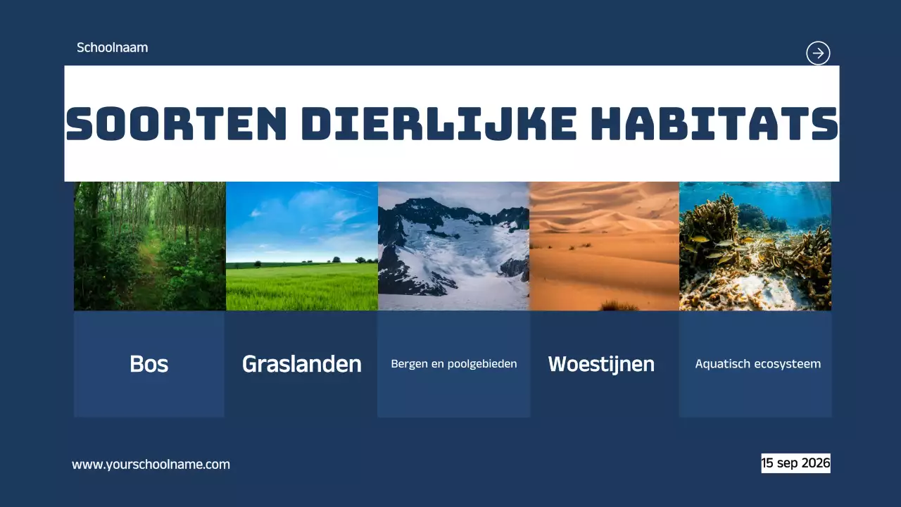 Blauw Oranje Modern Vet Geometrische Inleiding tot Dierlijke Habitats Infographic