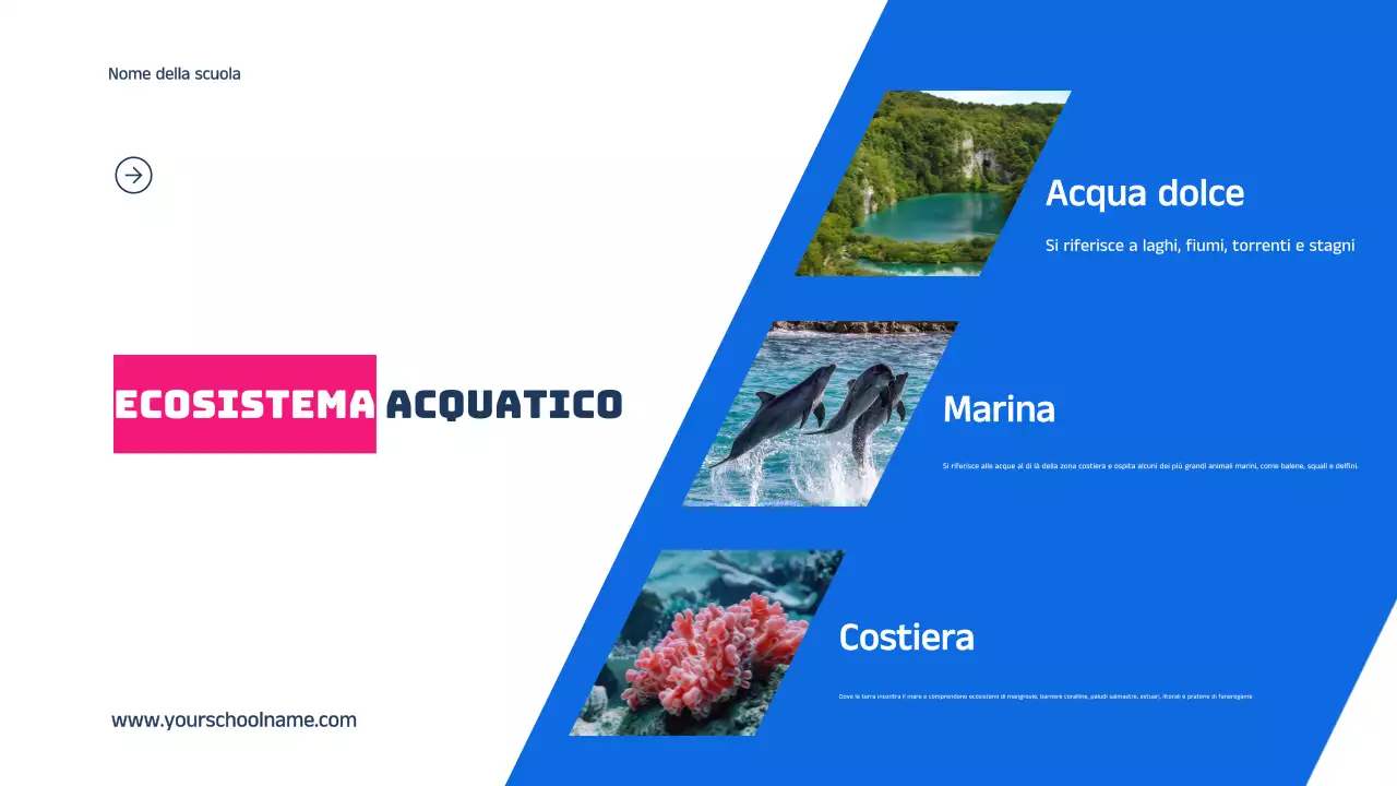 Blu Arancione Moderno Grassetto Geometrico Introduzione agli habitat animali Infografica