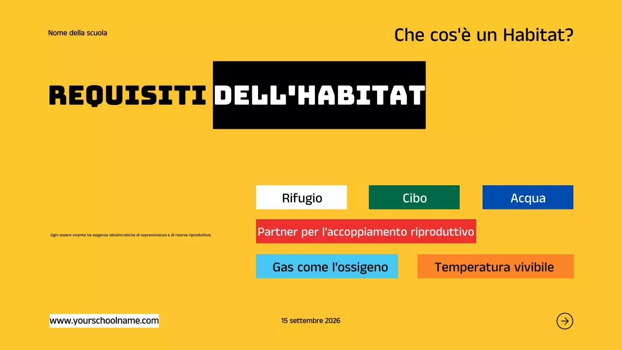 Blu Arancione Moderno Grassetto Geometrico Introduzione agli habitat animali Infografica