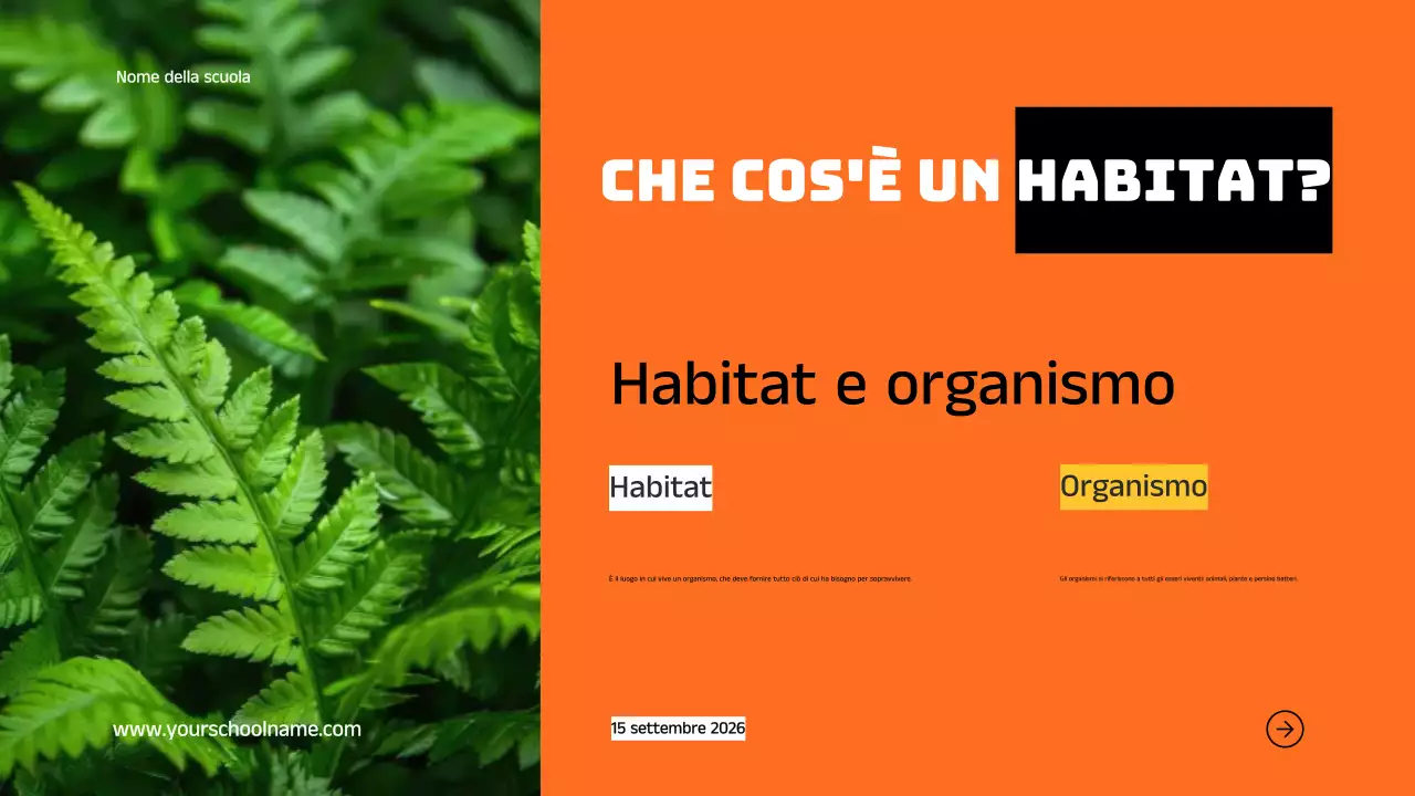 Blu Arancione Moderno Grassetto Geometrico Introduzione agli habitat animali Infografica