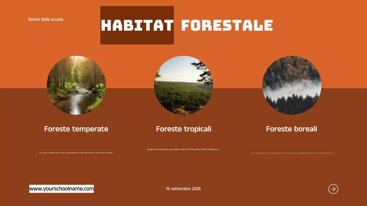 Blu Arancione Moderno Grassetto Geometrico Introduzione agli habitat animali Infografica