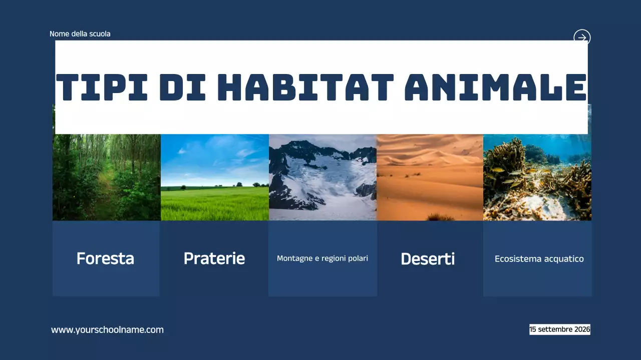 Blu Arancione Moderno Grassetto Geometrico Introduzione agli habitat animali Infografica