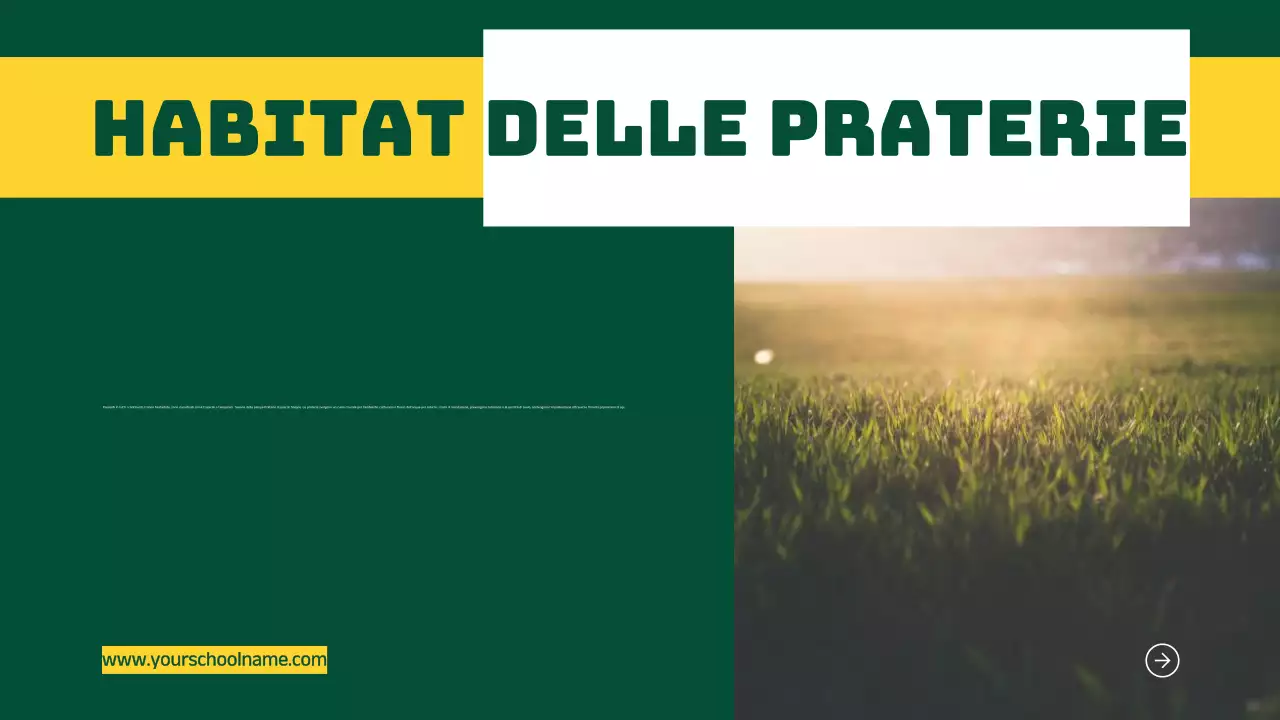 Blu Arancione Moderno Grassetto Geometrico Introduzione agli habitat animali Infografica