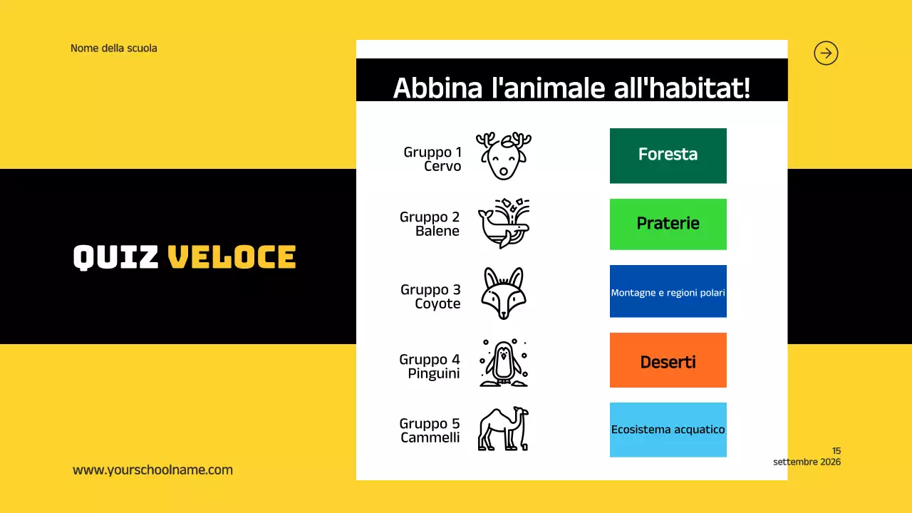 Blu Arancione Moderno Grassetto Geometrico Introduzione agli habitat animali Infografica