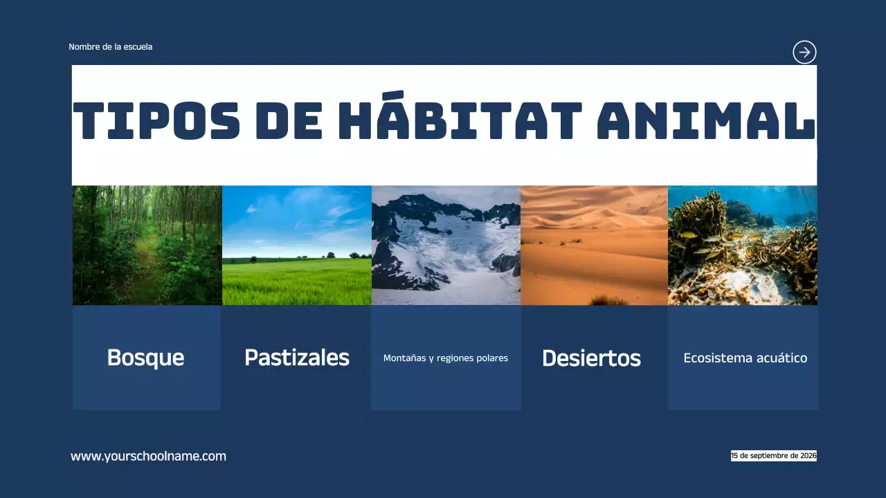 Azul Naranja Moderno Atrevido Geométrico Introducción a los hábitats de los animales Infografía