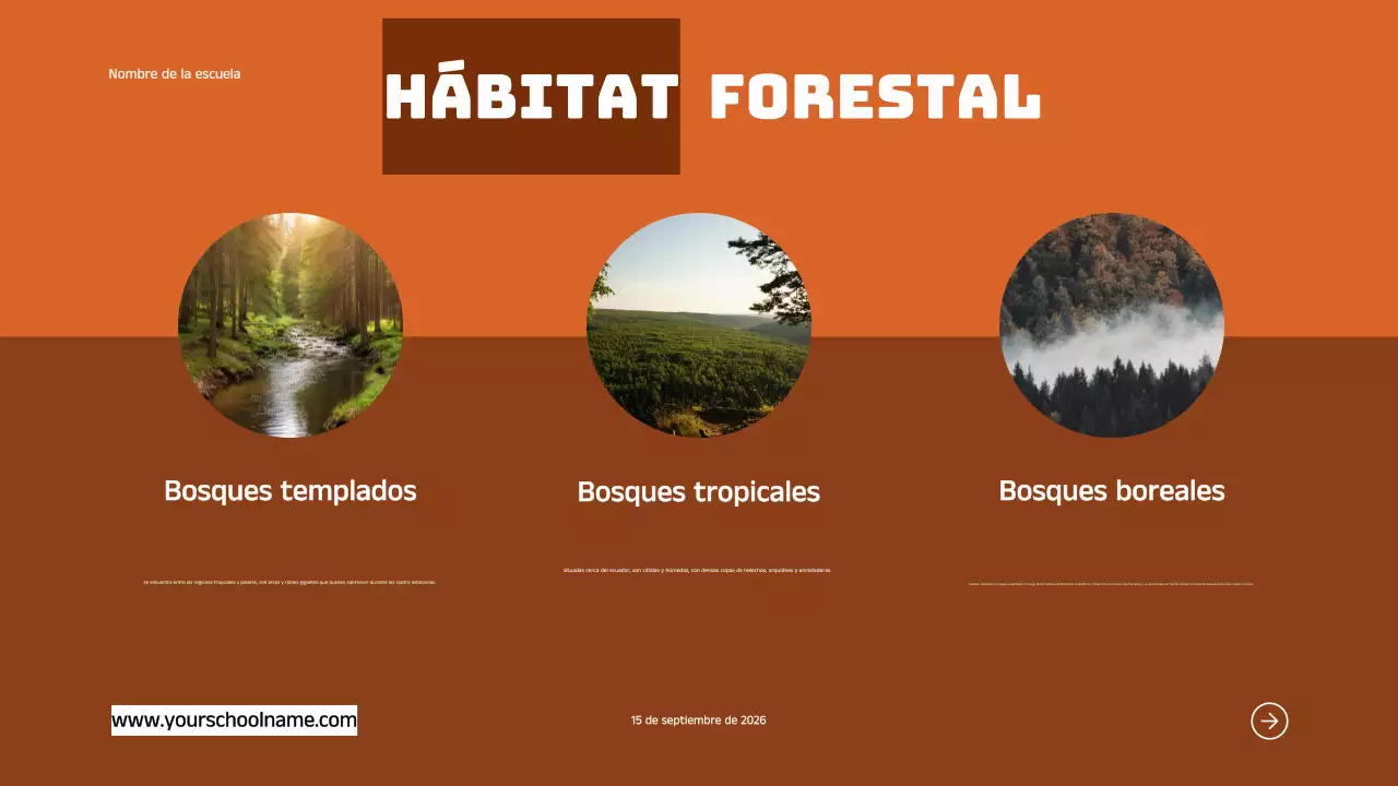Azul Naranja Moderno Atrevido Geométrico Introducción a los hábitats de los animales Infografía