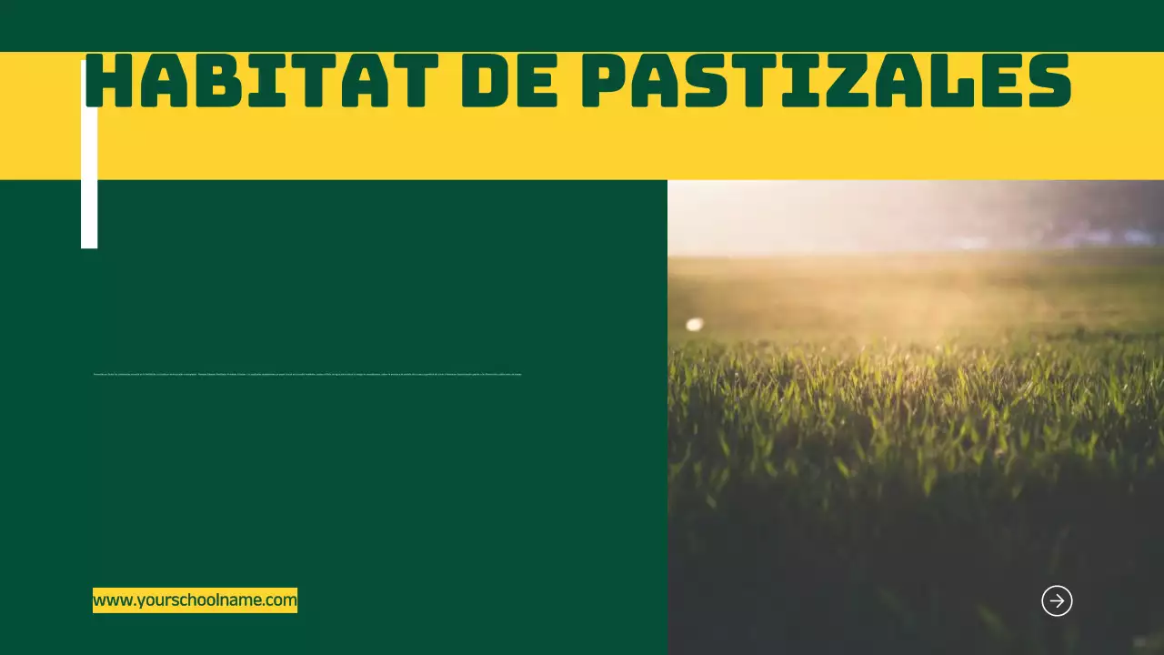 Azul Naranja Moderno Atrevido Geométrico Introducción a los hábitats de los animales Infografía