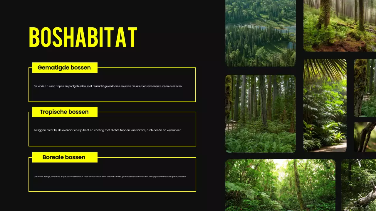 Zwart en geel modern dierenhabitat lesmateriaal