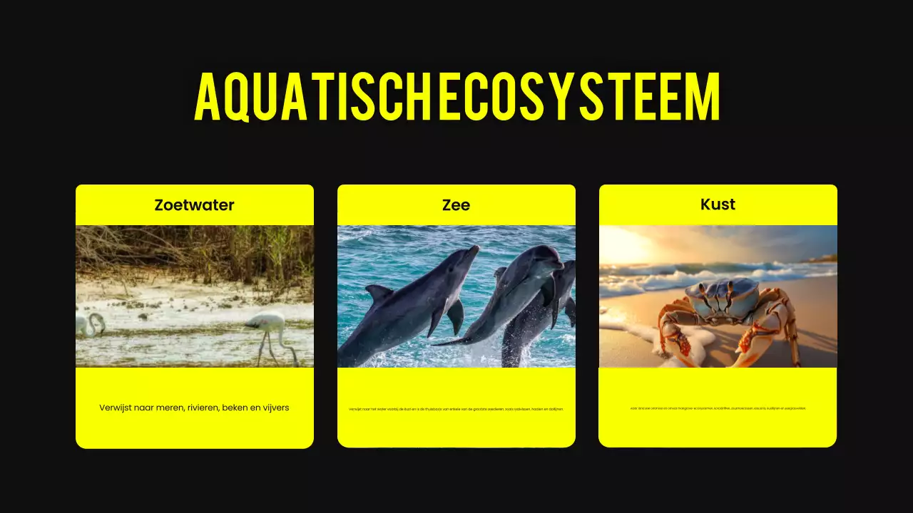 Zwart en geel modern dierenhabitat lesmateriaal