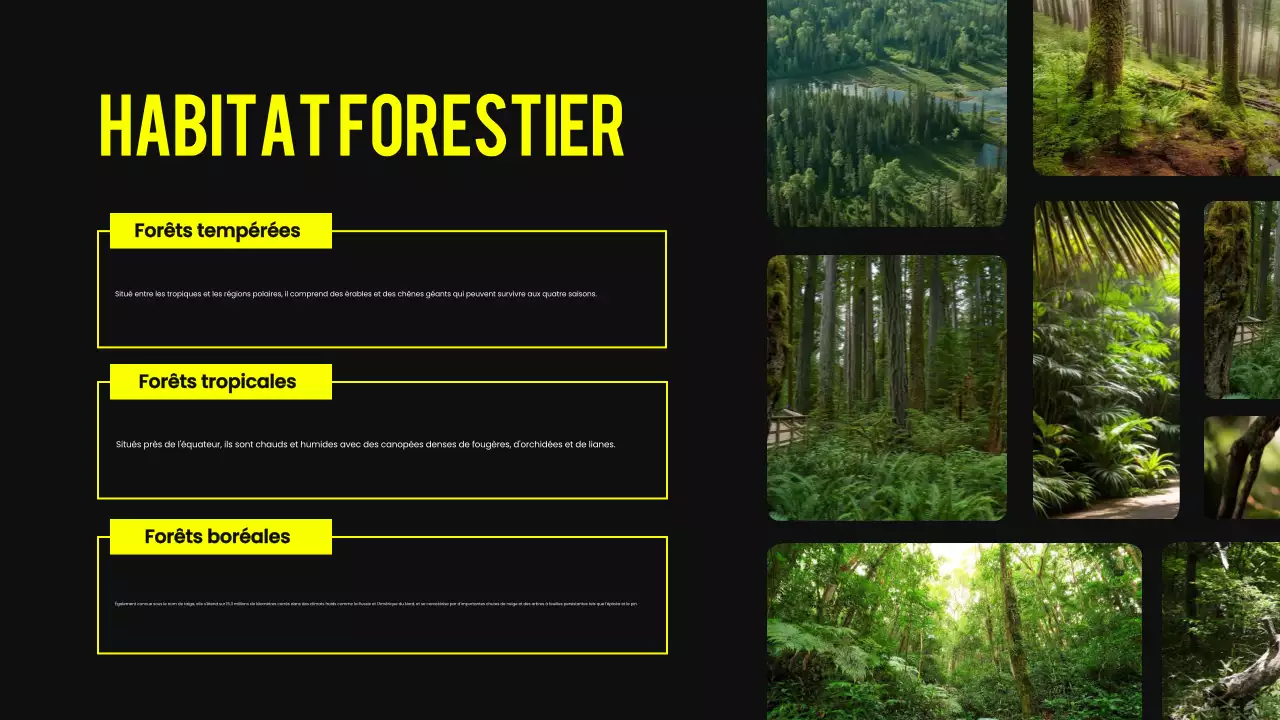 Matériel de conférence sur l'habitat animalier moderne noir et jaune