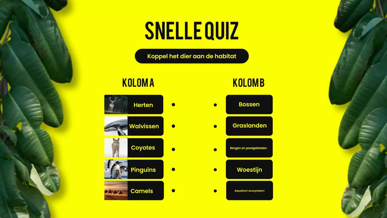 Zwart en geel modern dierenhabitat lesmateriaal