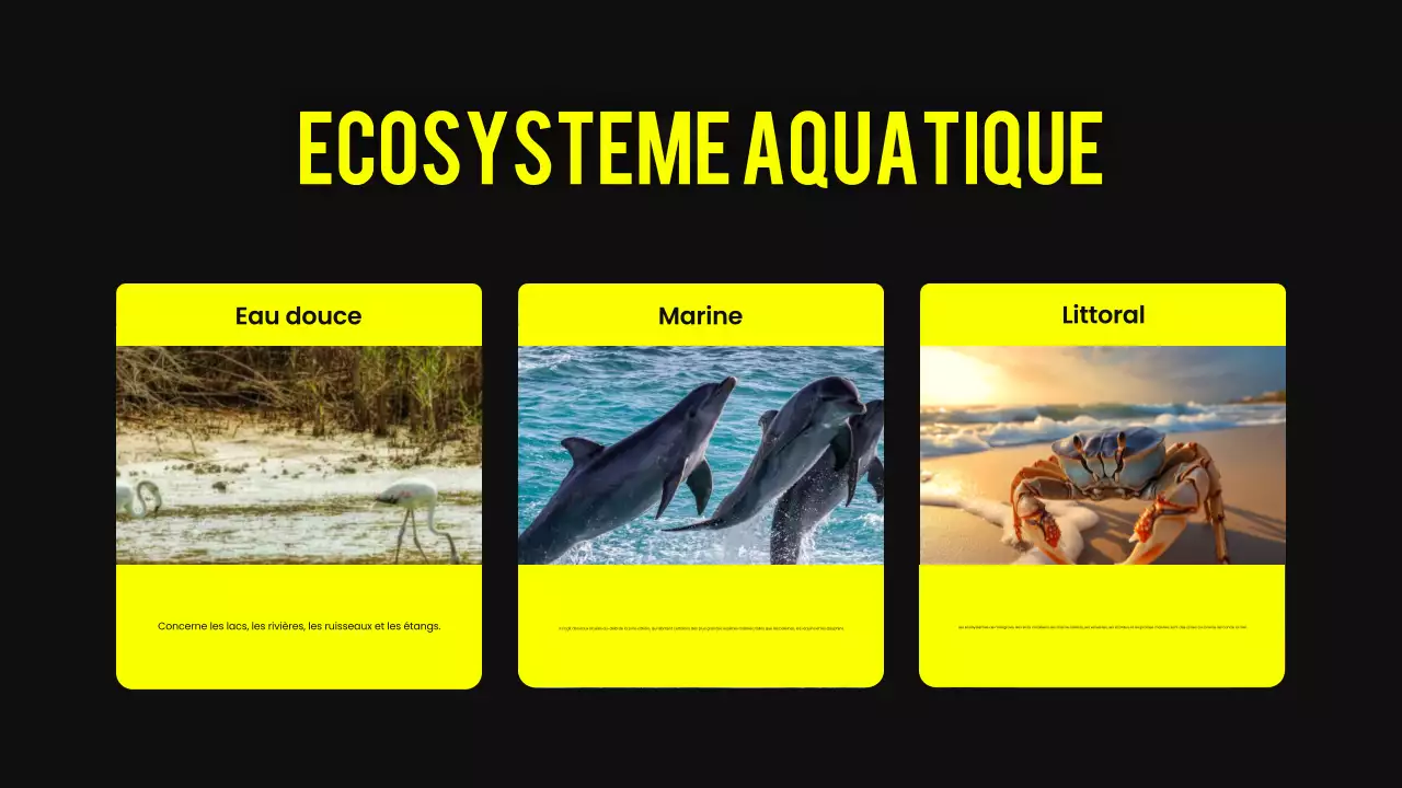 Matériel de conférence sur l'habitat animalier moderne noir et jaune