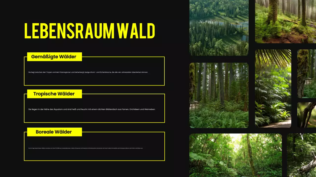 Schwarzer und gelber moderner Lebensraum für Tiere Vortragsmaterial