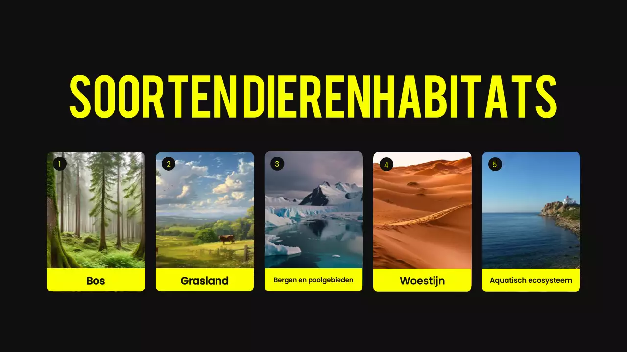 Zwart en geel modern dierenhabitat lesmateriaal