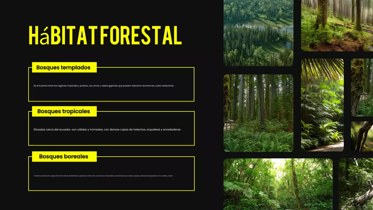 Negro y amarillo Hábitat animal moderno Material de lectura