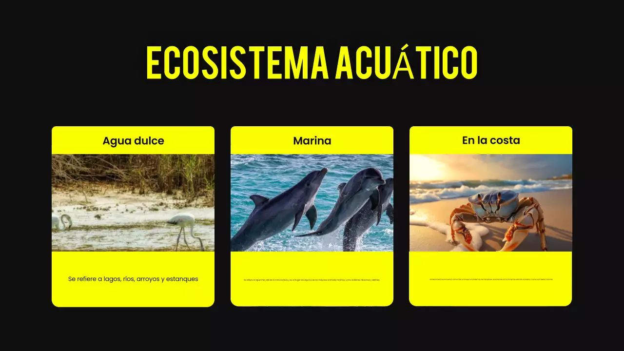 Negro y amarillo Hábitat animal moderno Material de lectura