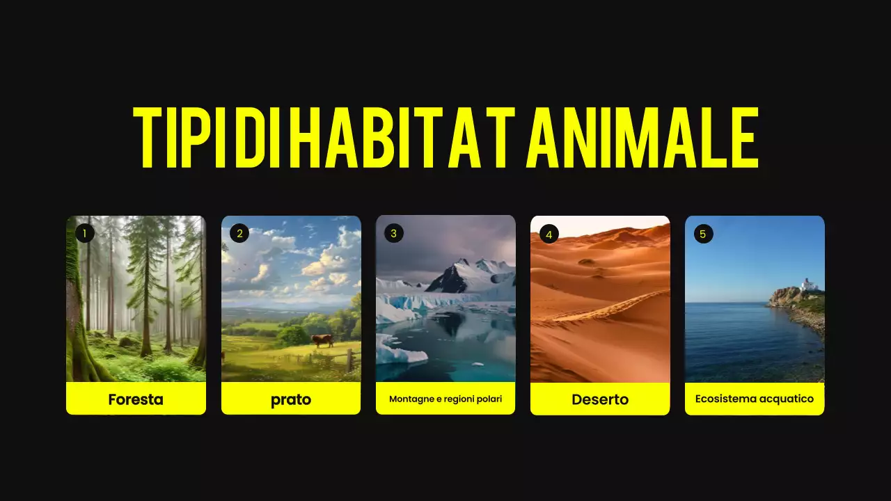 Materiale didattico per habitat animali moderni nero e giallo