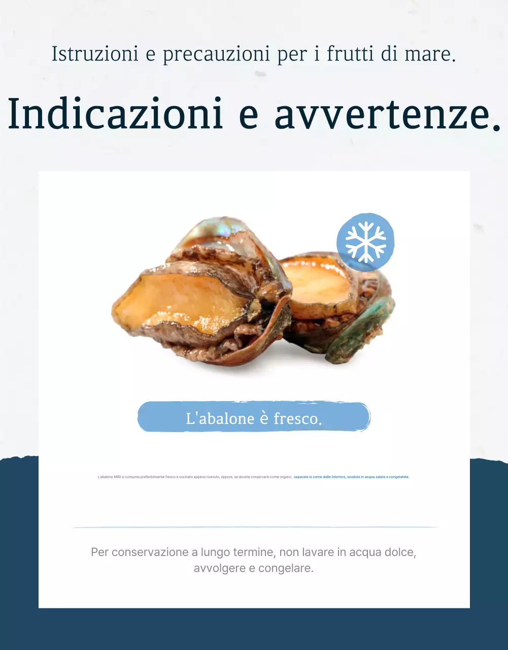 Promuovere il tradizionale abalone di mare blu e blu marino e cosa cercare