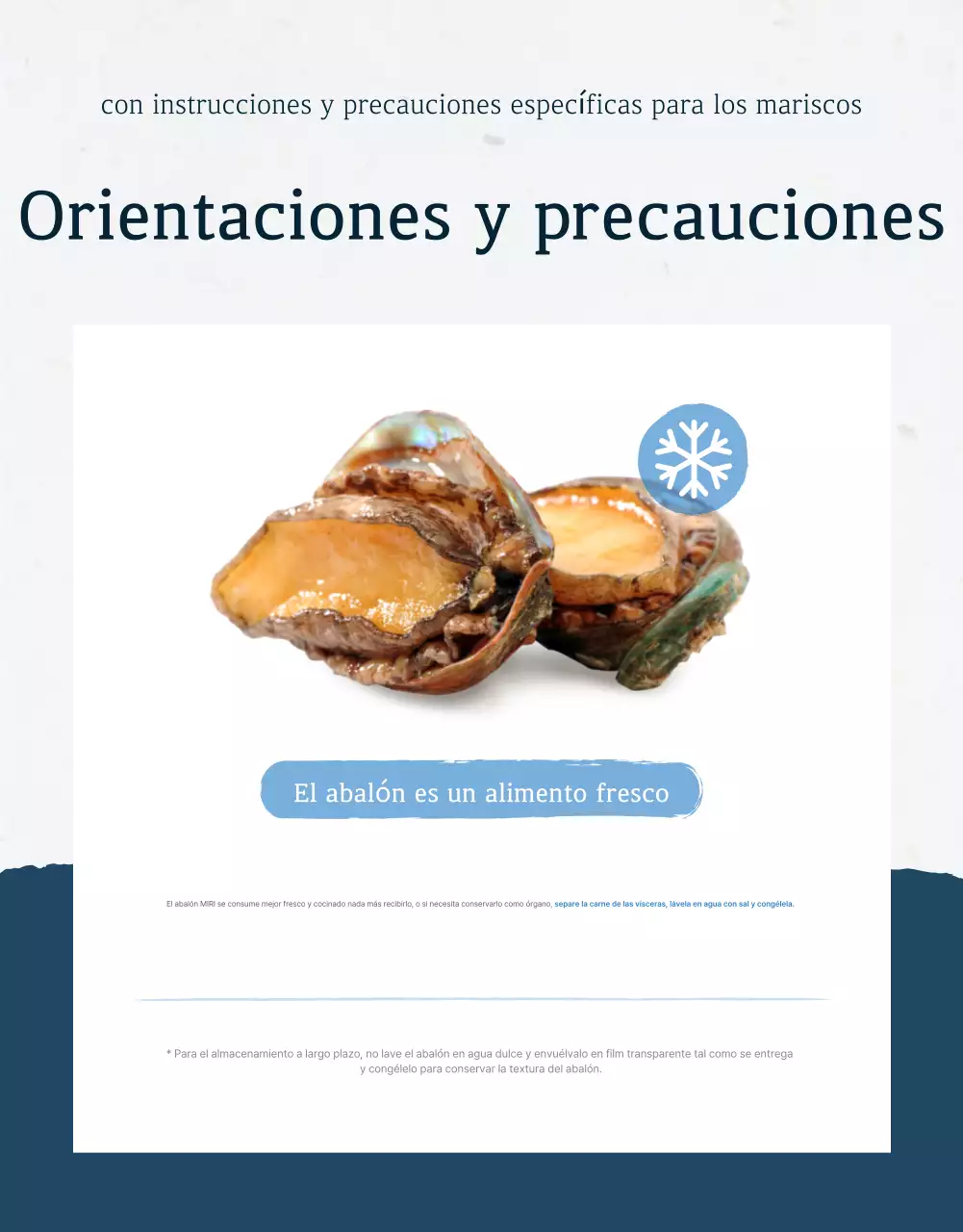 Promover el tradicional abalón marino azul y azul marino y en qué fijarse